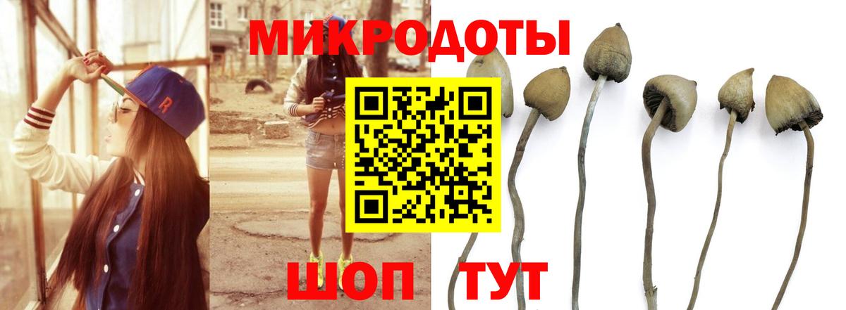 Галлюциногенные грибы Psilocybine cubensis  Вход с VPN  Зеленодольск 